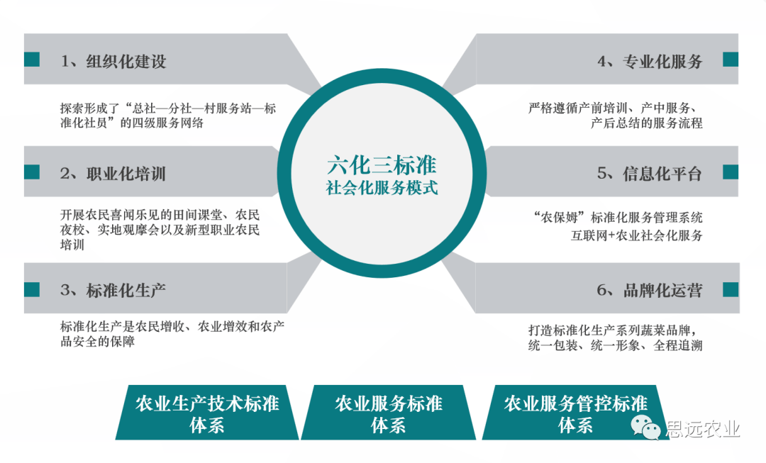 喜訊:思遠(yuǎn)農(nóng)業(yè)入選全國農(nóng)業(yè)社會(huì)化服務(wù)典型案例 詮釋標(biāo)準(zhǔn)化服務(wù)新高度